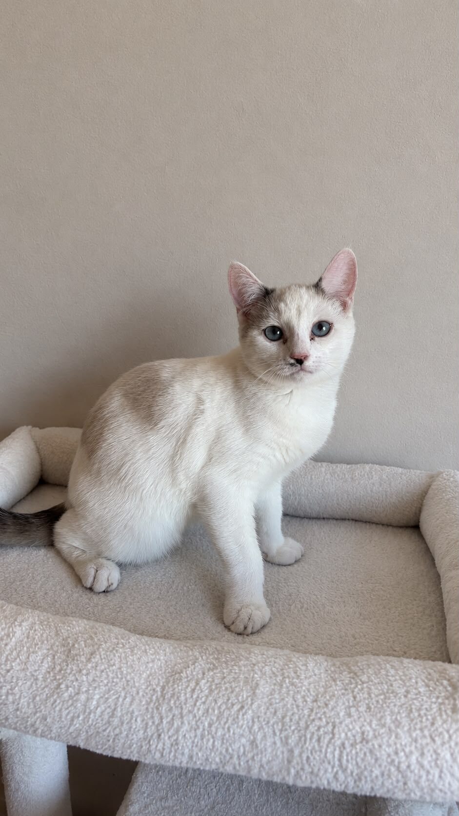 Foto EMI (duo-adoptie met Eira)